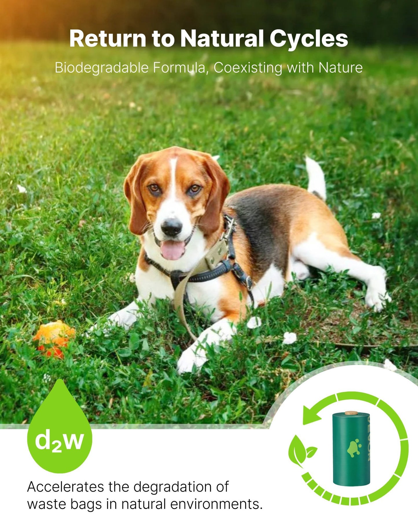 Eco Dog Poop Bag with Lavender Scent